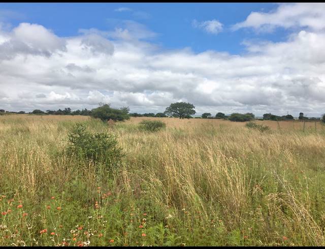 8HA FARM FOR SALE IN DEBRON